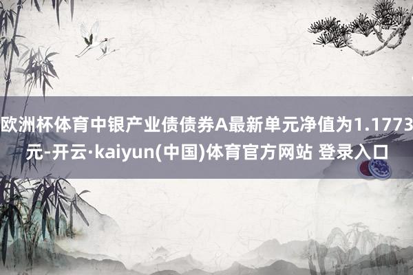 欧洲杯体育中银产业债债券A最新单元净值为1.1773元-开云·kaiyun(中国)体育官方网站 登录入口